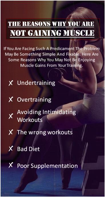 Why You Are Not Gaining Muscle?
