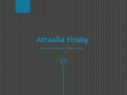 Attaalla Elroby - Master of Science in Electrical Engineering