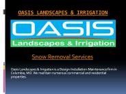 Snow Removal Services (1)
