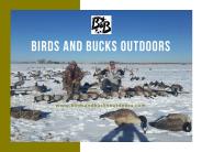 Goose Hunting in Colorado