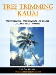 Tree Trimming Kauai