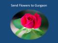 Send Flowers to Bangalore PowerPoint PPT Presentation