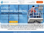 Window Cleaning Services