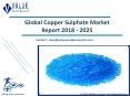 Copper Sulphate Market Outlook and Forecast up to 2025 PowerPoint PPT Presentation