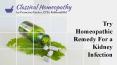 Try homeopathic remedy for a kidney infection PowerPoint PPT Presentation