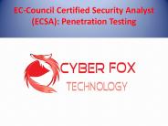 download free Penetration Testing Program