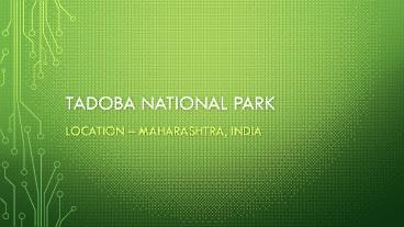 Tadoba national park - Wildlife Safari (1)