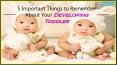 Important Things to Remember About your Developing Toddler PowerPoint PPT Presentation