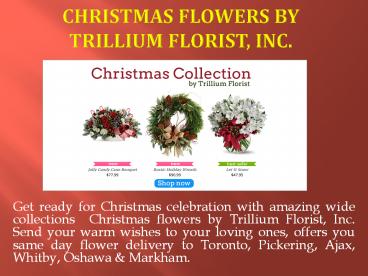 Christmas Flower Collection by Trillium Florist Inc