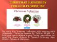 Christmas Flower Collection by Trillium Florist Inc PowerPoint PPT Presentation