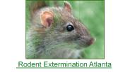 Rodent Extermination Atlanta