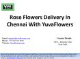 Rose Flowers Delivery In Chennai With YuvaFlowers PowerPoint PPT Presentation