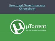 How to get Torrents on your Chromebook