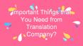Important Things that You Need from Translation Company? PowerPoint PPT Presentation