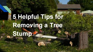 5 Helpful Tips for Removing a Tree Stump