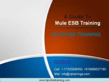 A Beginners’ guide to Mule ESB training course