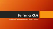 Microsoft Dynamics CRM, Support and Consulting Services (1)