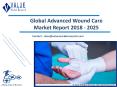 Advanced Wound Care Market | Growth & Trends | Industry Report, 2025 PowerPoint PPT Presentation