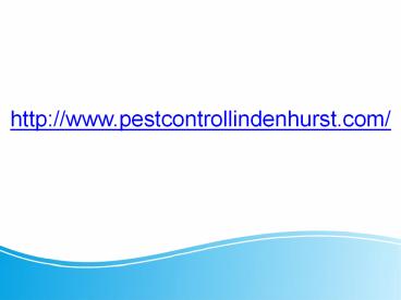 Residential Pest Control and Exterminator Lindenhurst NY