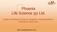 Veterinary Medicine Supplier in India