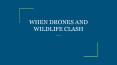 WHEN DRONES AND WILDLIFE CLASH PowerPoint PPT Presentation