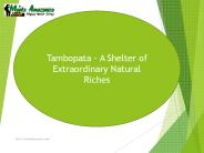 Tambopata - A Shelter of Extraordinary Natural Riches