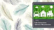 Life Insurance Advisor in Manchester UK | Bee Insured