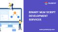 Binary MLM Script Development Company PowerPoint PPT Presentation