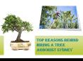 Top Reasons behind Hiring a Tree Arborist Sydney PowerPoint PPT Presentation
