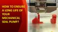 How to Ensure a Long Life of Your Mechanical seal Pump? PowerPoint PPT Presentation