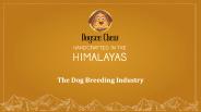 The Dog Breeding Industry