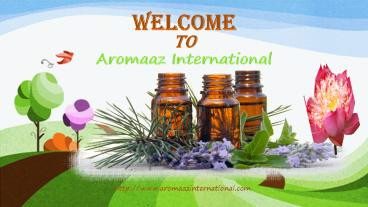 These 12 Miraculous Essential Oils for Menstrual Cramps!