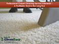 Professional Carpet Cleaning Service Adelaide - A Profitable Deal in the Long Run PowerPoint PPT Presentation