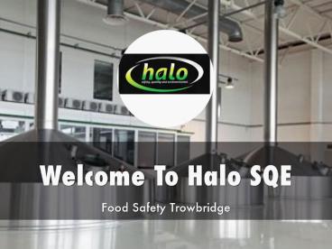 Halo SQE Presentation