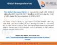 Global Shampoo Market– Industry Trends and Forecast to 2025 PowerPoint PPT Presentation