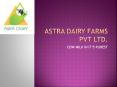 paneer in chennai-Astra Dairy PowerPoint PPT Presentation