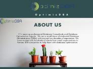 Database Performance Optimization