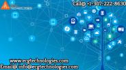 ECG Technologies LLC