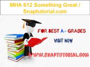 MHA 612 Something Great / Snaptutorial.com