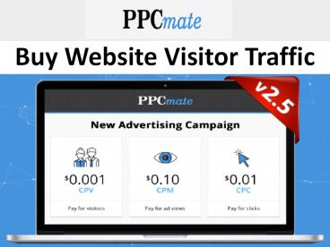 Buy Website Visitor Traffic