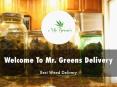 Information Presentation Of Mr. Greens Delivery PowerPoint PPT Presentation