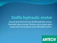 Staffa hydraulic motor