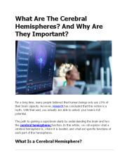 Cerebral Hemisphere