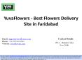 YuvaFlowers - Best Flowers Delivery Site in Faridabad PowerPoint PPT Presentation