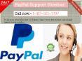 It’s your choice that you should have faith in our  PayPal Support Number team or not PowerPoint PPT Presentation