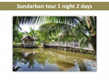 Sundarban tour 1 night 2 days