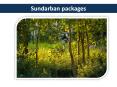Sundarban Package PowerPoint PPT Presentation