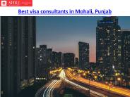 Tourist visa consultants in Mohali