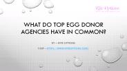 WHAT DO TOP EGG DONOR AGENCIES HAVE IN COMMON?