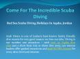 Come For the Incredible Scuba Diving at the Affordable Packages PowerPoint PPT Presentation